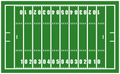 Football Field Vinyl