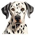 Dalmatian