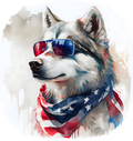 2026 USA Decal 25