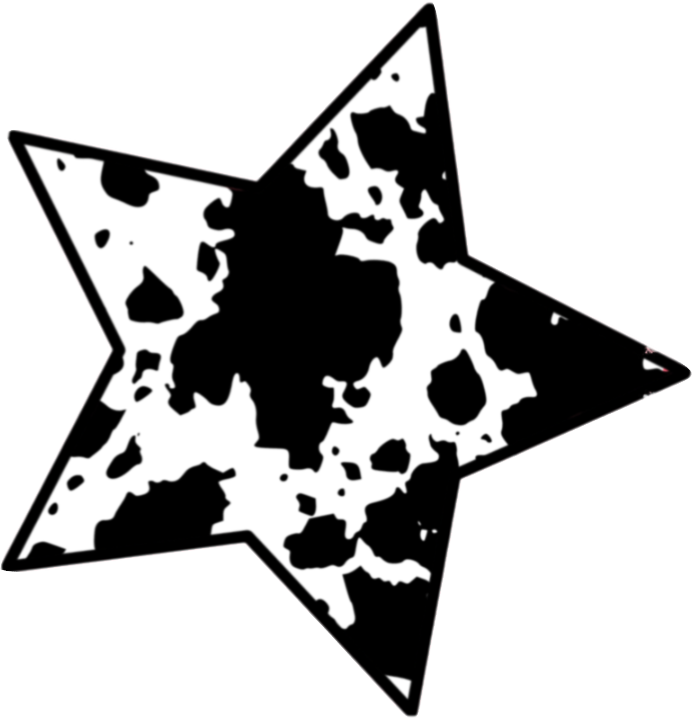 MISTI'S DISTRESSED COWGIRL- DECAL 19