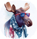 2026 USA Decal 32