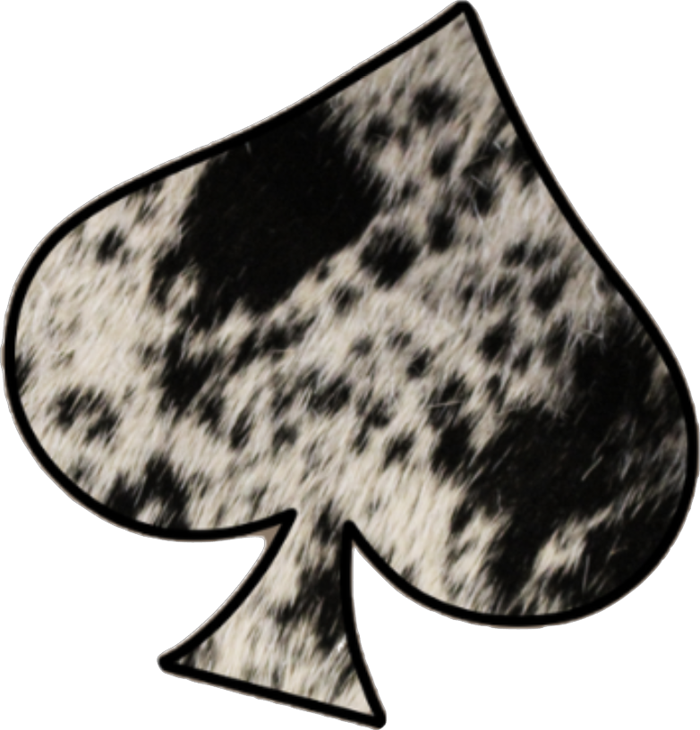 MISTI'S DISTRESSED COWGIRL- DECAL 9