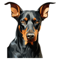 Doberman
