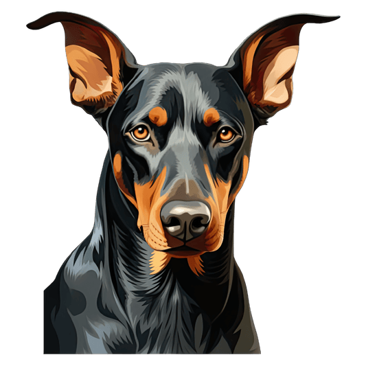 Doberman