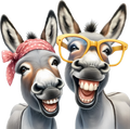 Donkey 12
