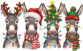 Donkey 26