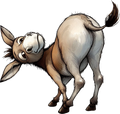 Donkey 31