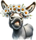 Donkey 7