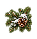 Tarolee's Nutcracker Collection- Decal 6