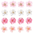 Petals & Pistols Floral Element Sheet