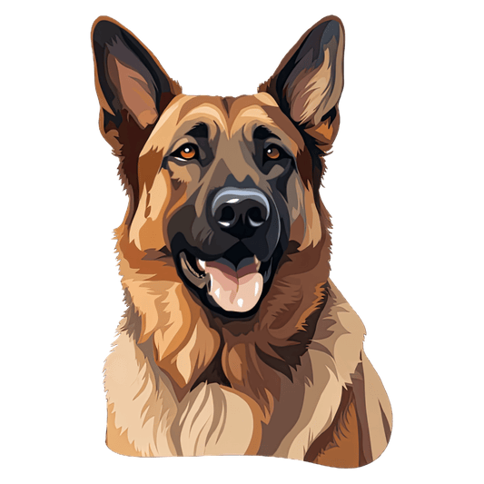 German Shepard
