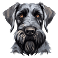 Giant Schnauzer
