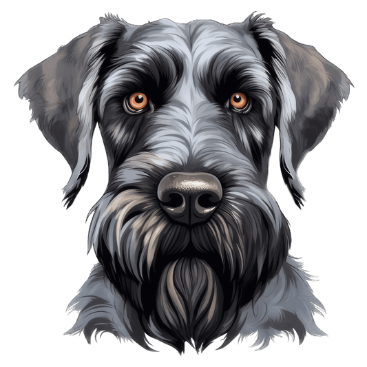 Giant Schnauzer