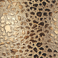 Gold Leopard -Vinyl 5