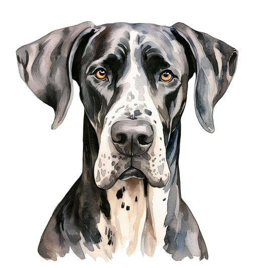 Great Dane 2
