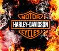 HARLEY VINYL 5