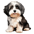 Havanese