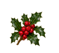 Tarolee's Nutcracker Collection- Decal 10