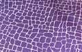 Purple Pebble