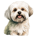 Maltese
