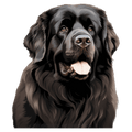 Newfoundland