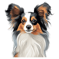 Papillon