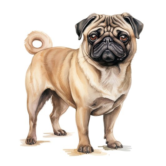 Pug 2