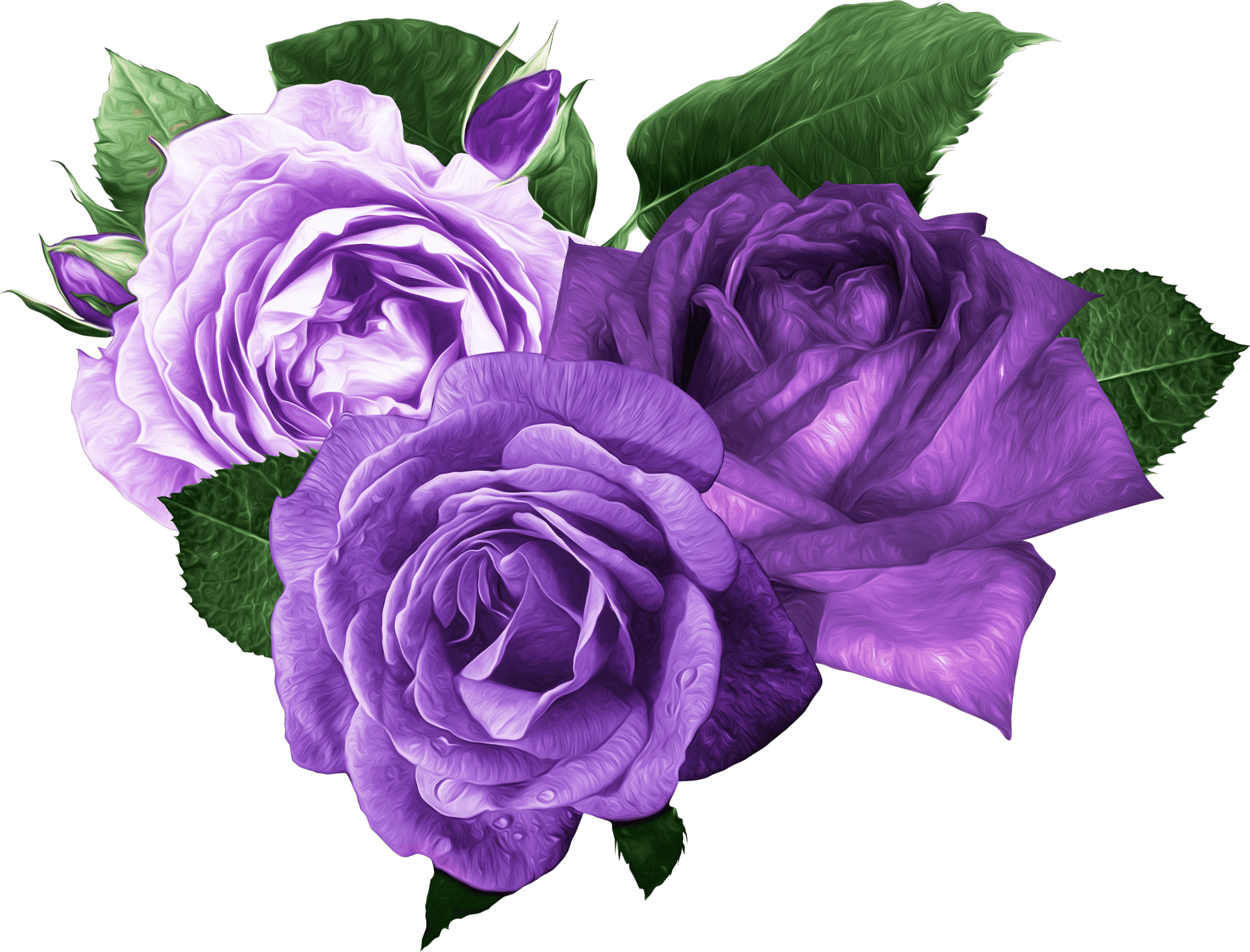 Zaddy's Heifers- Purple Flowers