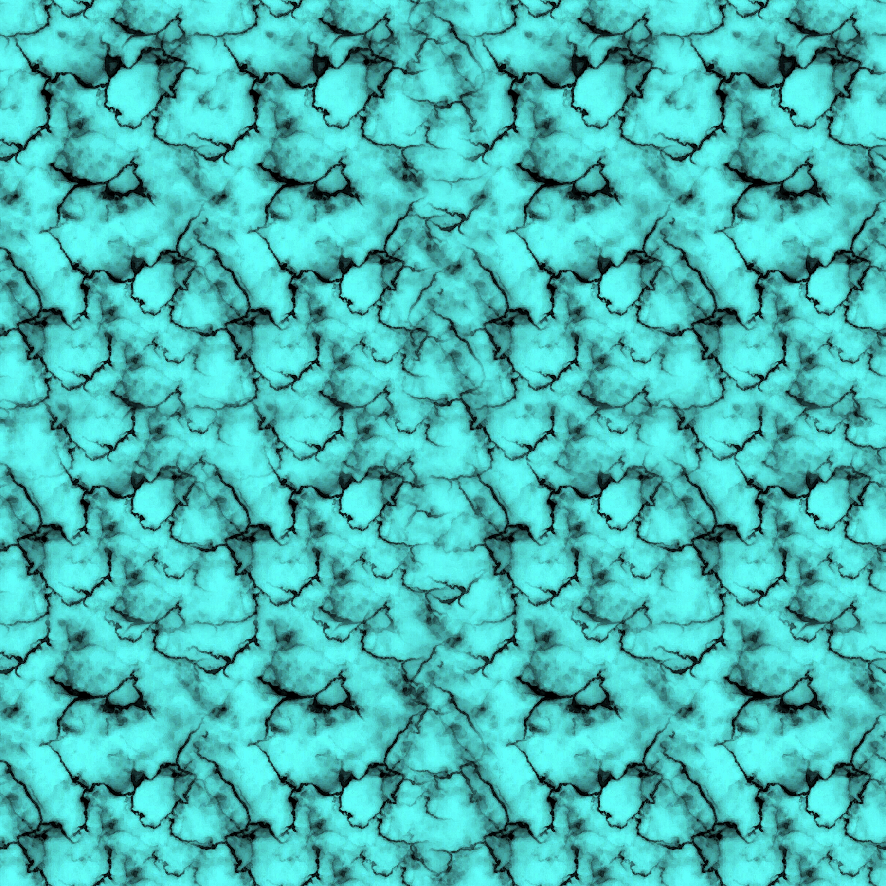 Spring '25 Western Vinyl 64