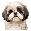 Shih-Tzu