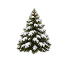 Tarolee's Nutcracker Collection- Decal 3