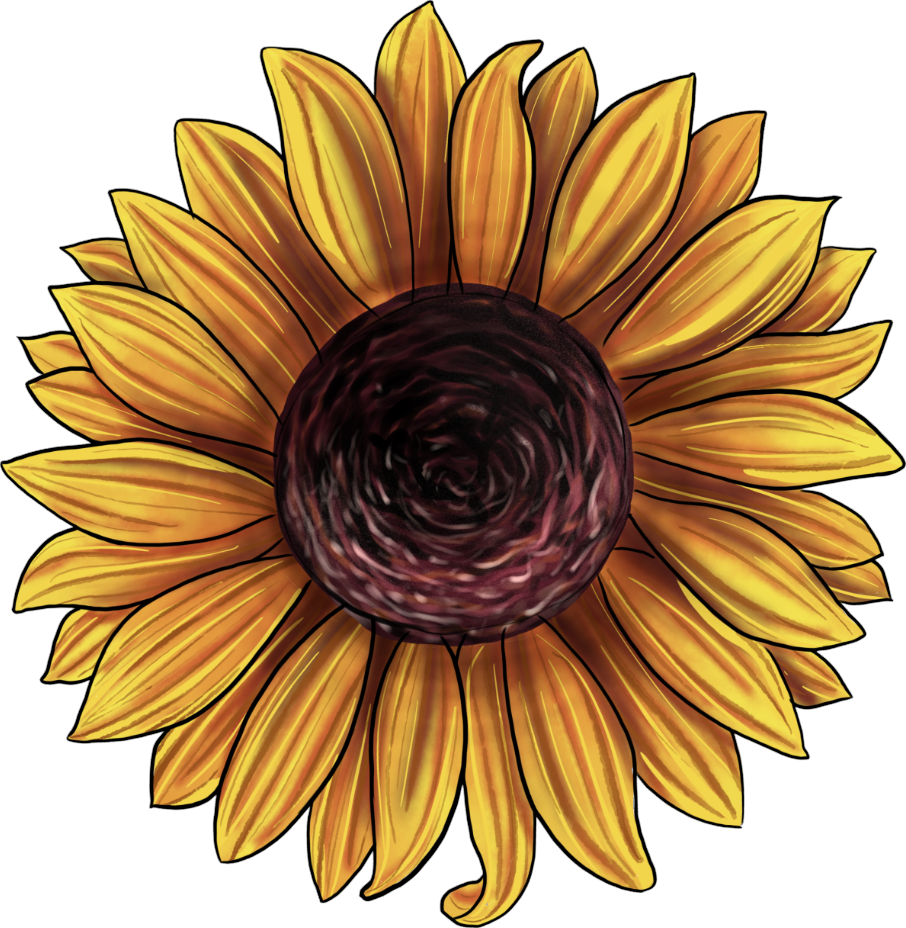Sunflower Decal 3