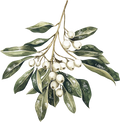 Christmas Decal 17