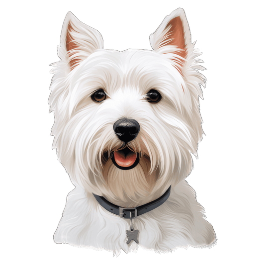 Westie